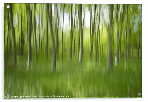 Abstract blur of Beech trees. Acrylic by Liam Grant