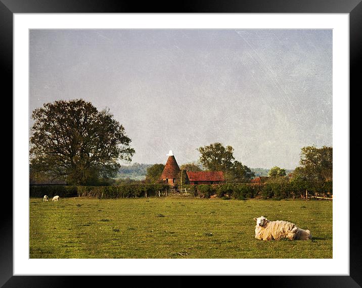 Rural Kent Framed Mounted Print by Dawn Cox