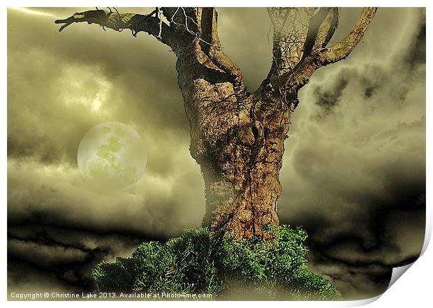Tree Dreams Print by Christine Lake