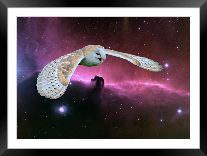 Barn Owl v. Horse head Nebula. Framed Mounted Print by Heather Goodwin