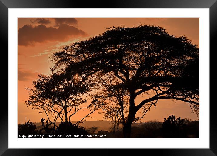 African Sunset Framed Mounted Print by Mary Fletcher