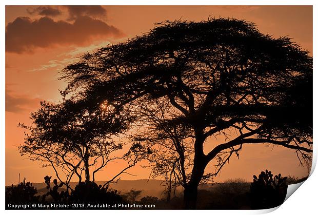 African Sunset Print by Mary Fletcher