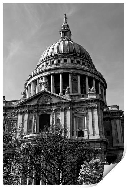 St Pauls Cathedral London Print by David Pyatt