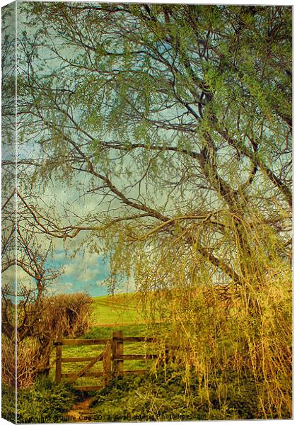 Gate From The Meadow Canvas Print by Julie Coe