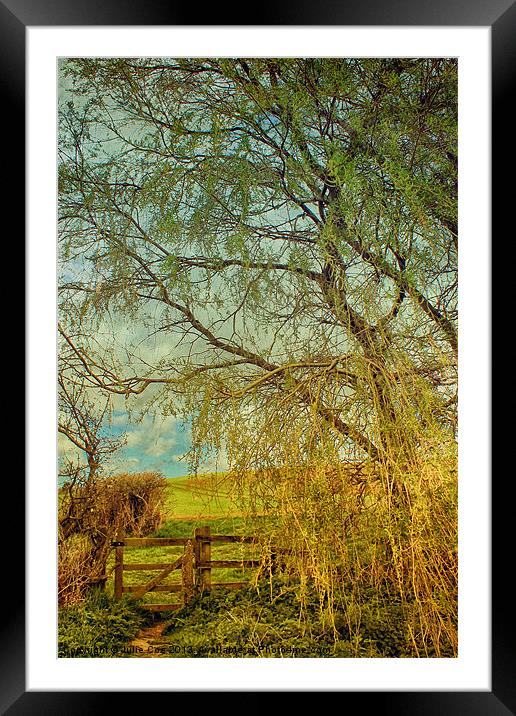 Gate From The Meadow Framed Mounted Print by Julie Coe