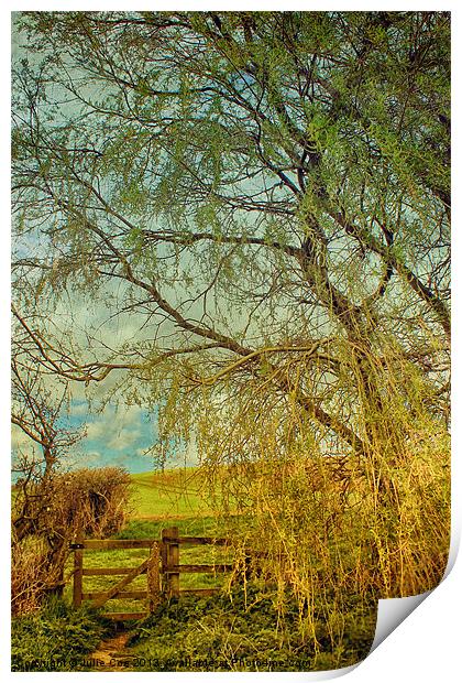 Gate From The Meadow Print by Julie Coe