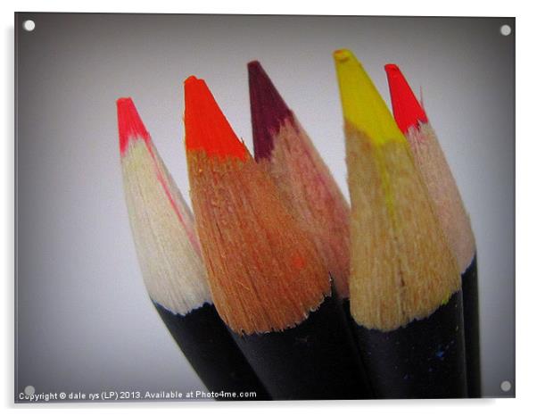 colored pencils Acrylic by dale rys (LP)