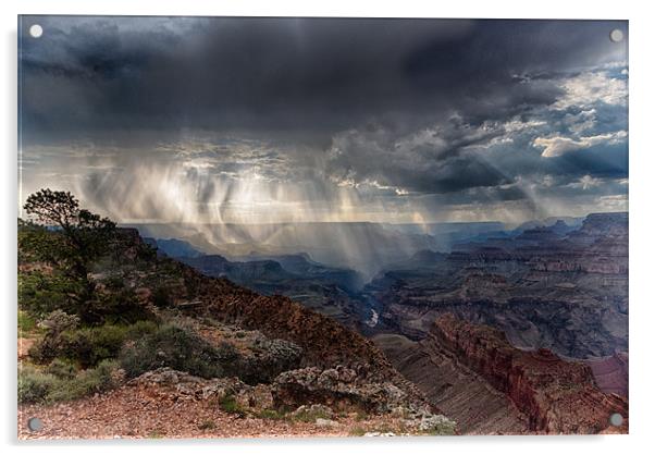 Grand Canyon Sunbeams Acrylic by simon  davies