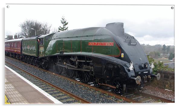 Gresley A4 Pacific Steam Locomotive Acrylic by Lee Osborne