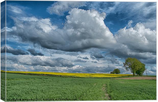 the rapeseed field Canvas Print by Jo Beerens