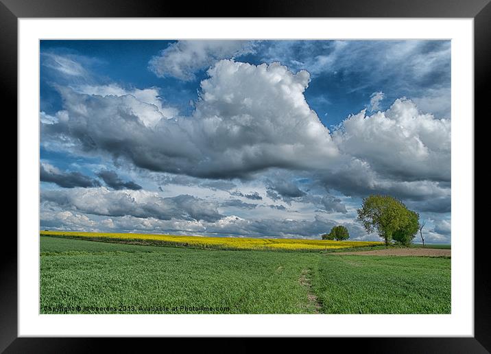 the rapeseed field Framed Mounted Print by Jo Beerens