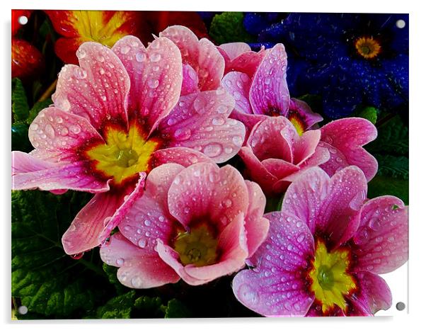 1400-spring flowerds Acrylic by elvira ladocki