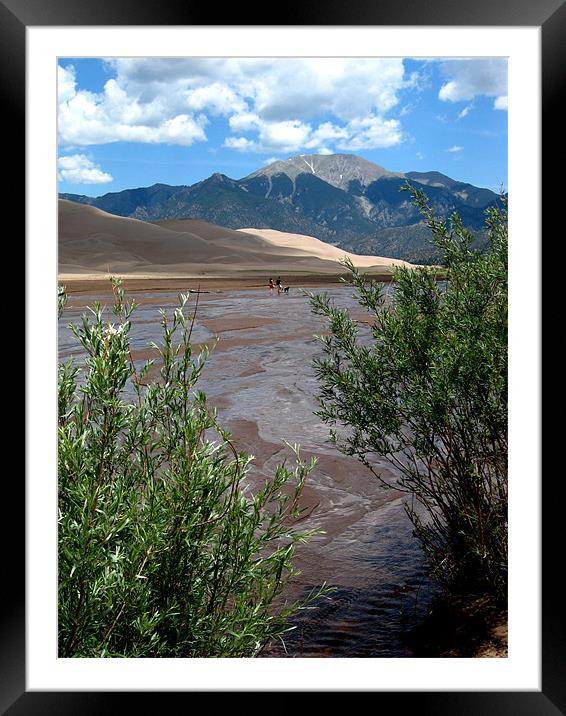 Rocky Mountain Sand Dunes  Framed Mounted Print by Steve Bieberich