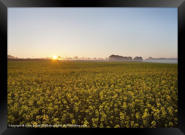 Mist over Rape Field at sunrise, Weasenham, Norfol Framed Print by Liam Grant