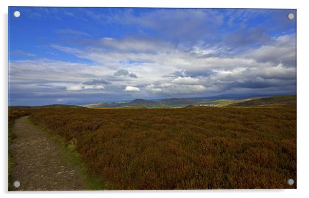 Shropshire Hills Acrylic by Darren Burroughs