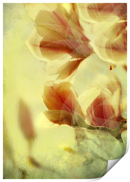 Spring Breeze Print by Dawn Cox