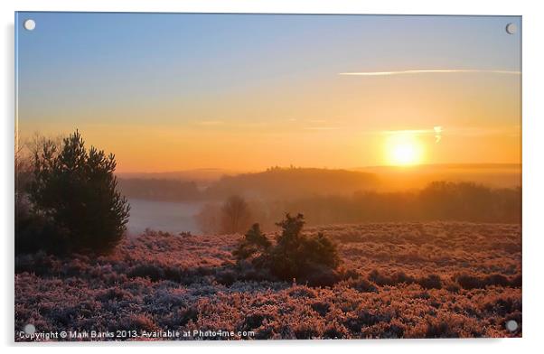 Sunrise over Broxhead Common Acrylic by Mark  F Banks