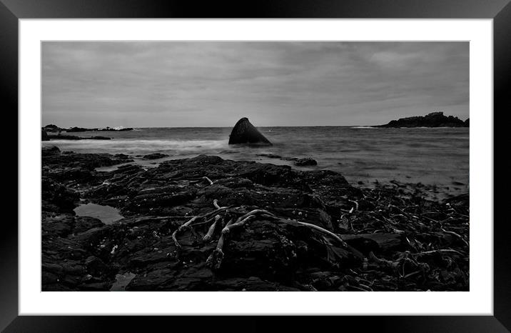 Washed up Framed Mounted Print by Steve Cowe