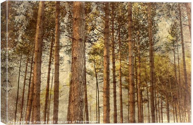 Ousbrough Woods Canvas Print by Ray Pritchard