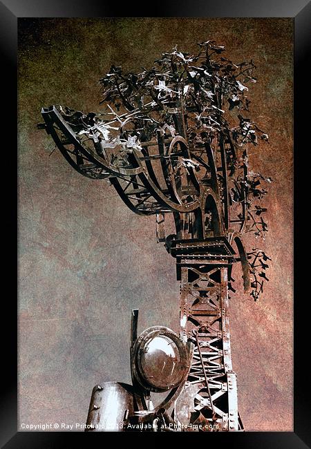 Metal Tree Framed Print by Ray Pritchard