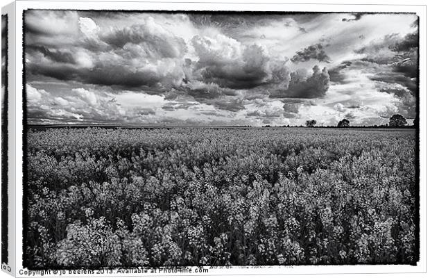 rapeseed field black and white Canvas Print by Jo Beerens