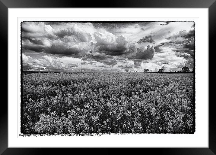 rapeseed field black and white Framed Mounted Print by Jo Beerens
