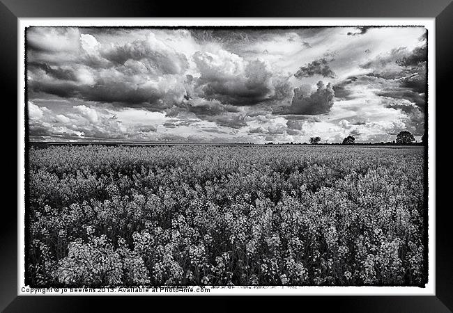 rapeseed field black and white Framed Print by Jo Beerens