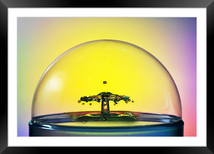 Inside the bubble Framed Mounted Print by Terry Pearce