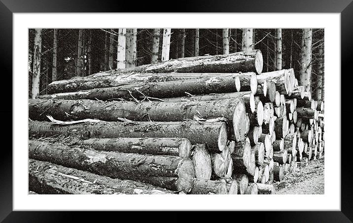 Logs Framed Mounted Print by Lee Osborne