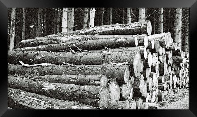 Logs Framed Print by Lee Osborne