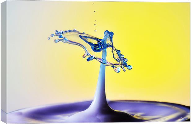 Fluid Art droplet splash Canvas Print by Terry Pearce