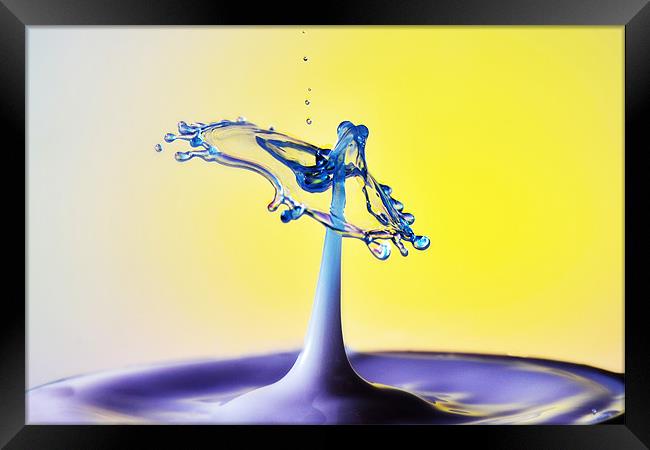 Fluid Art droplet splash Framed Print by Terry Pearce