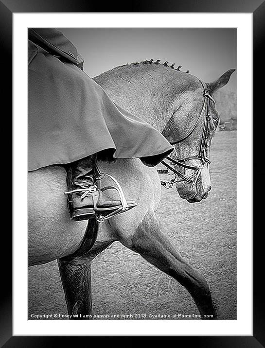Show horse Framed Mounted Print by Linsey Williams