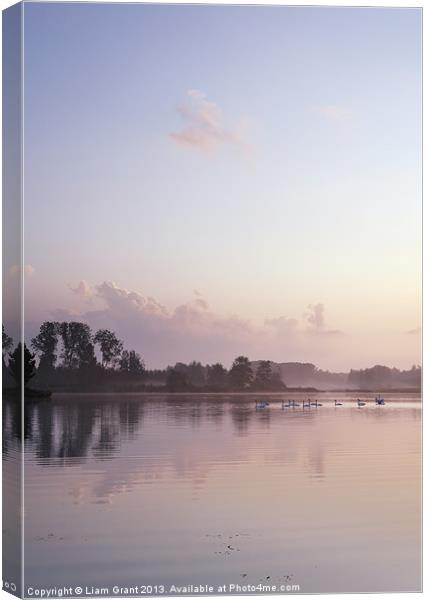 Swans on Lynford Water at sunrise. Canvas Print by Liam Grant