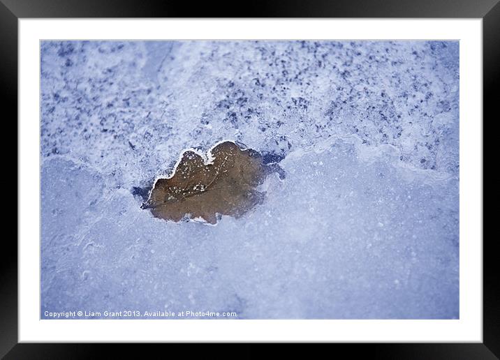 Leaf Frozen in Ice Framed Mounted Print by Liam Grant