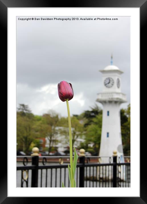 Roath Park Cardiff Framed Mounted Print by Dan Davidson