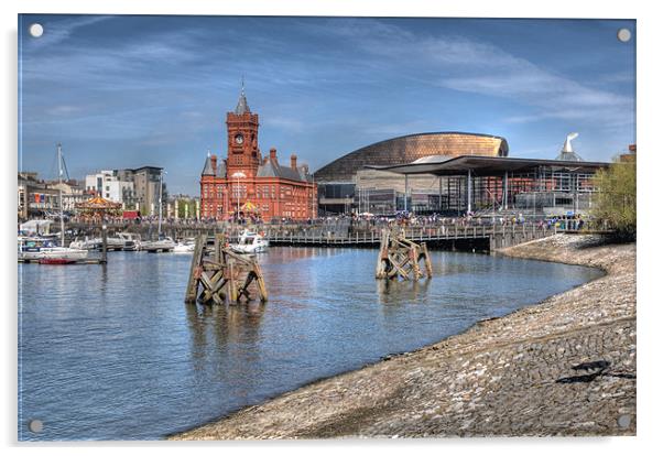 Cardiff Bay Acrylic by Steve Purnell
