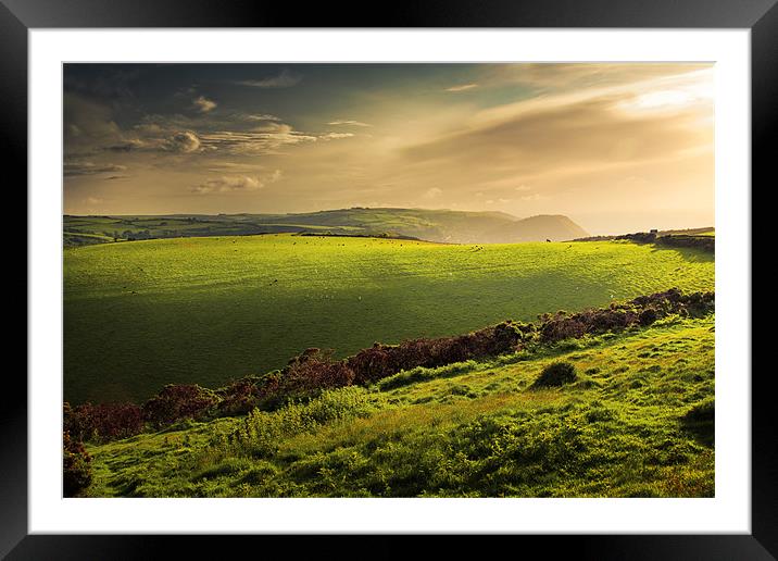 Illuminated Evening Landscape North Devon Framed Mounted Print by Dorit Fuhg