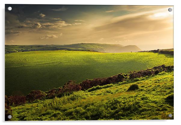 Illuminated Evening Landscape North Devon Acrylic by Dorit Fuhg