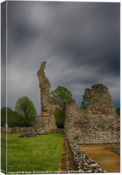 Thetford Priory 1 Canvas Print by Mark Bunning