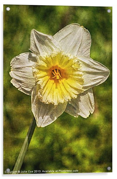 Single Daffodil Acrylic by Julie Coe