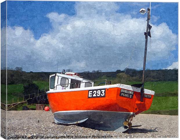 Beached boat at Branscombe 3 Canvas Print by Paula Palmer canvas