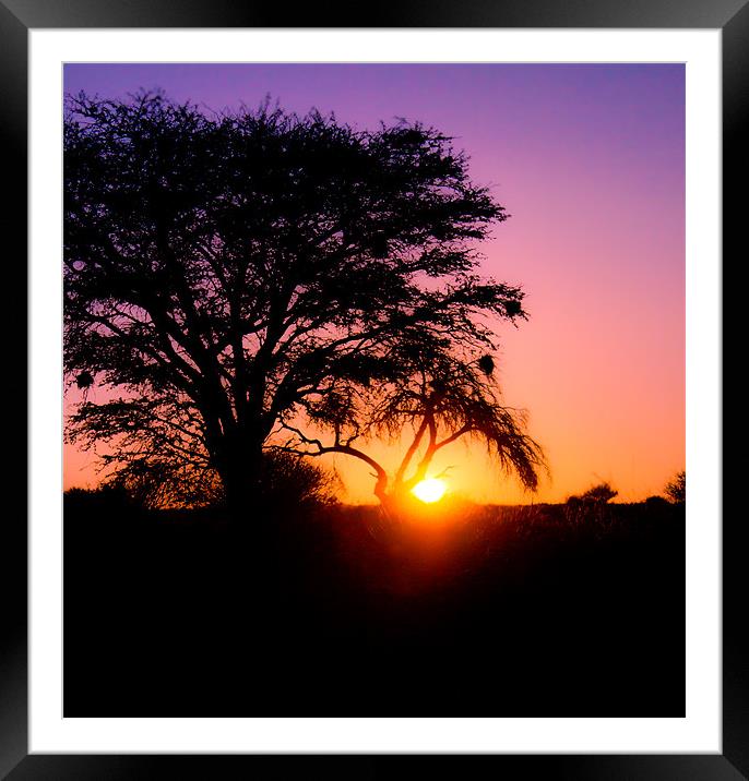 Sunset in the Kalahari Framed Mounted Print by Elizma Fourie