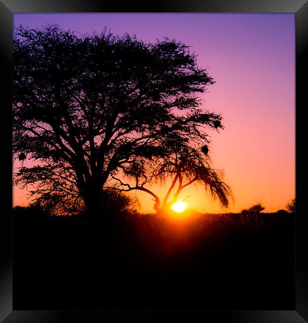 Sunset in the Kalahari Framed Print by Elizma Fourie