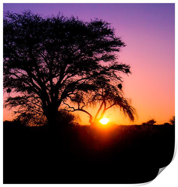 Sunset in the Kalahari Print by Elizma Fourie