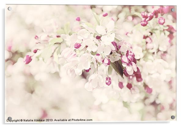 Dreaming of Spingtime Blossom Acrylic by Natalie Kinnear