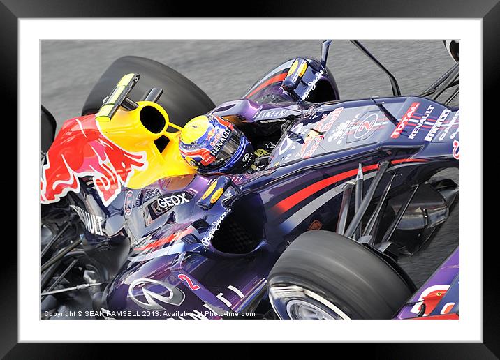 Mark Webber 2013 RedBull Framed Mounted Print by SEAN RAMSELL