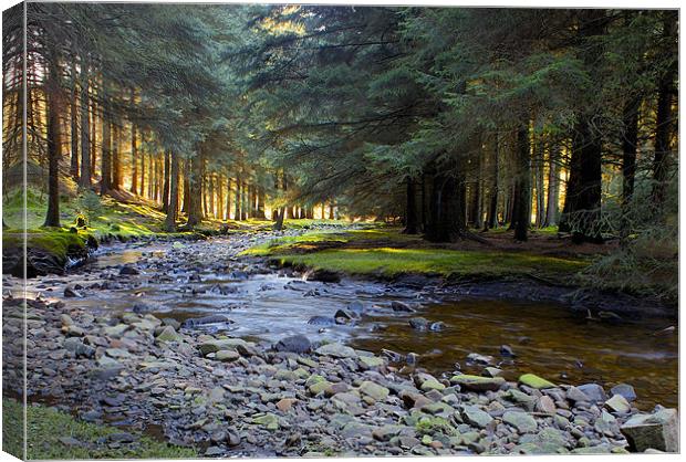 Snake Pass Woodlands Canvas Print by Steve Connolly