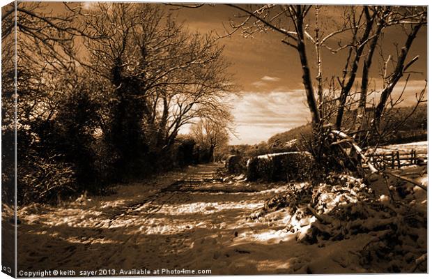 Winter Walk Canvas Print by keith sayer