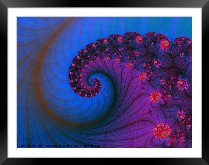 Vortex on Poppy Row Framed Mounted Print by Colin Forrest